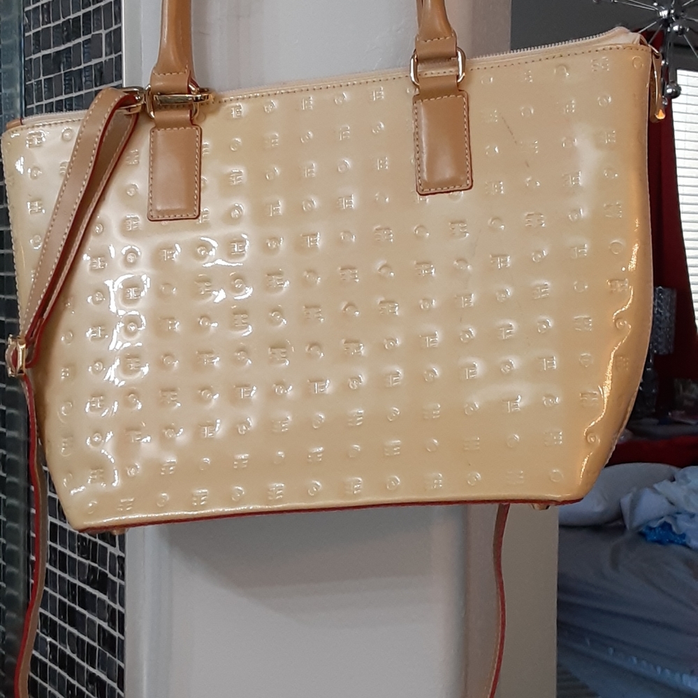 Arcadia purse
